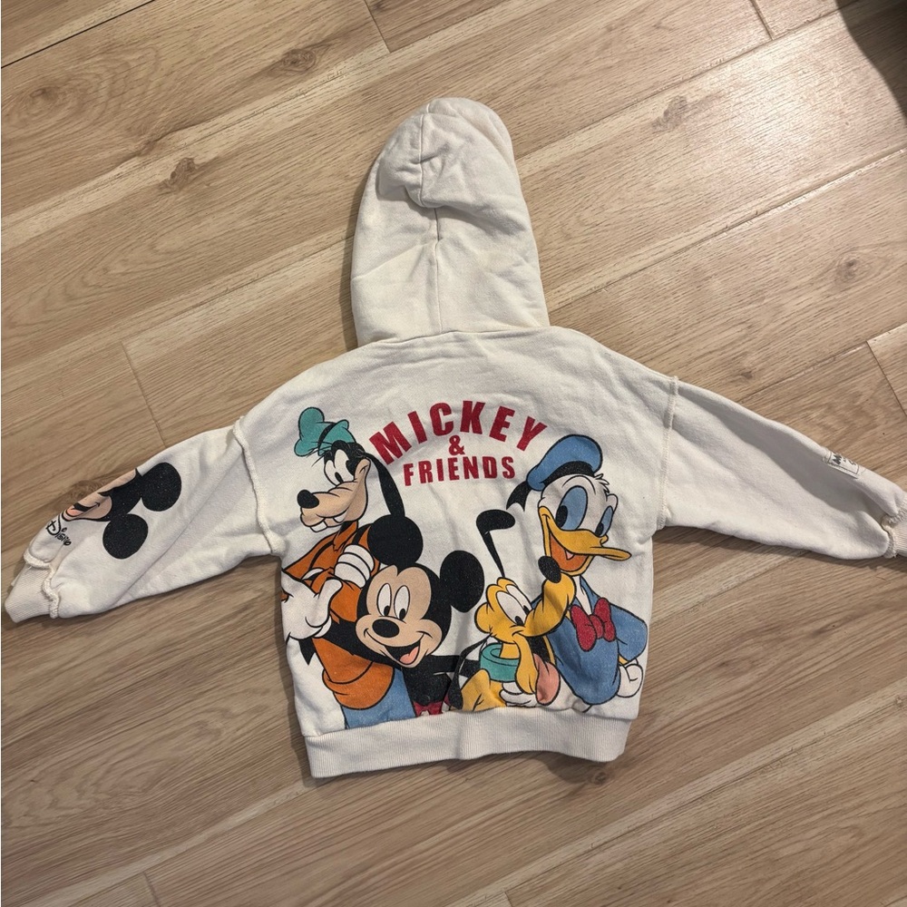 Zara Disney sweatshirt